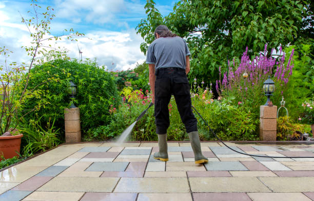 Best Roof Cleaning and Mildew Removal in Alpharetta, GA